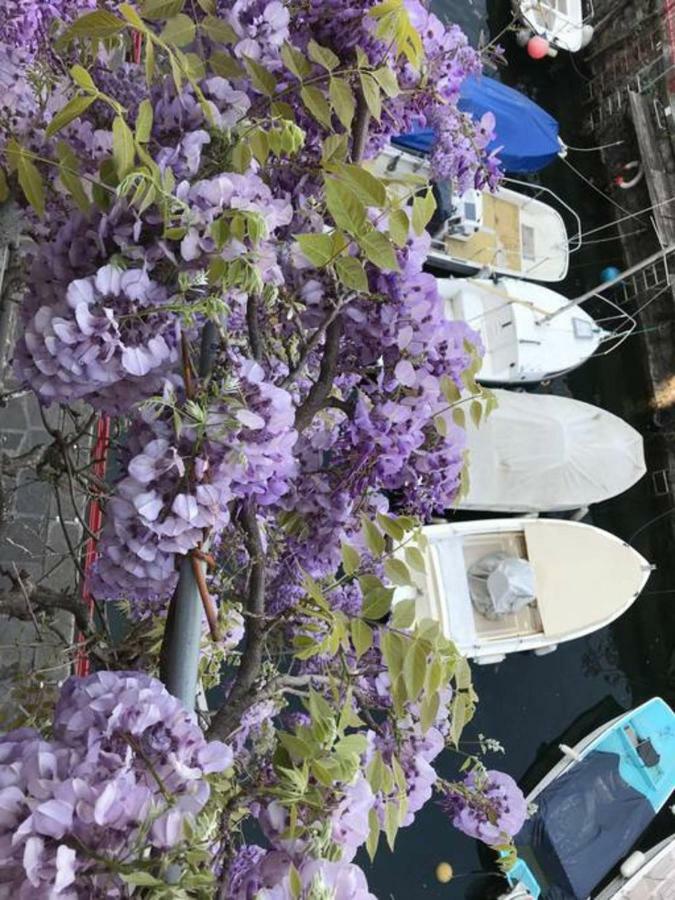 Casa Balcony Apartment วาเรนนา ภายนอก รูปภาพ